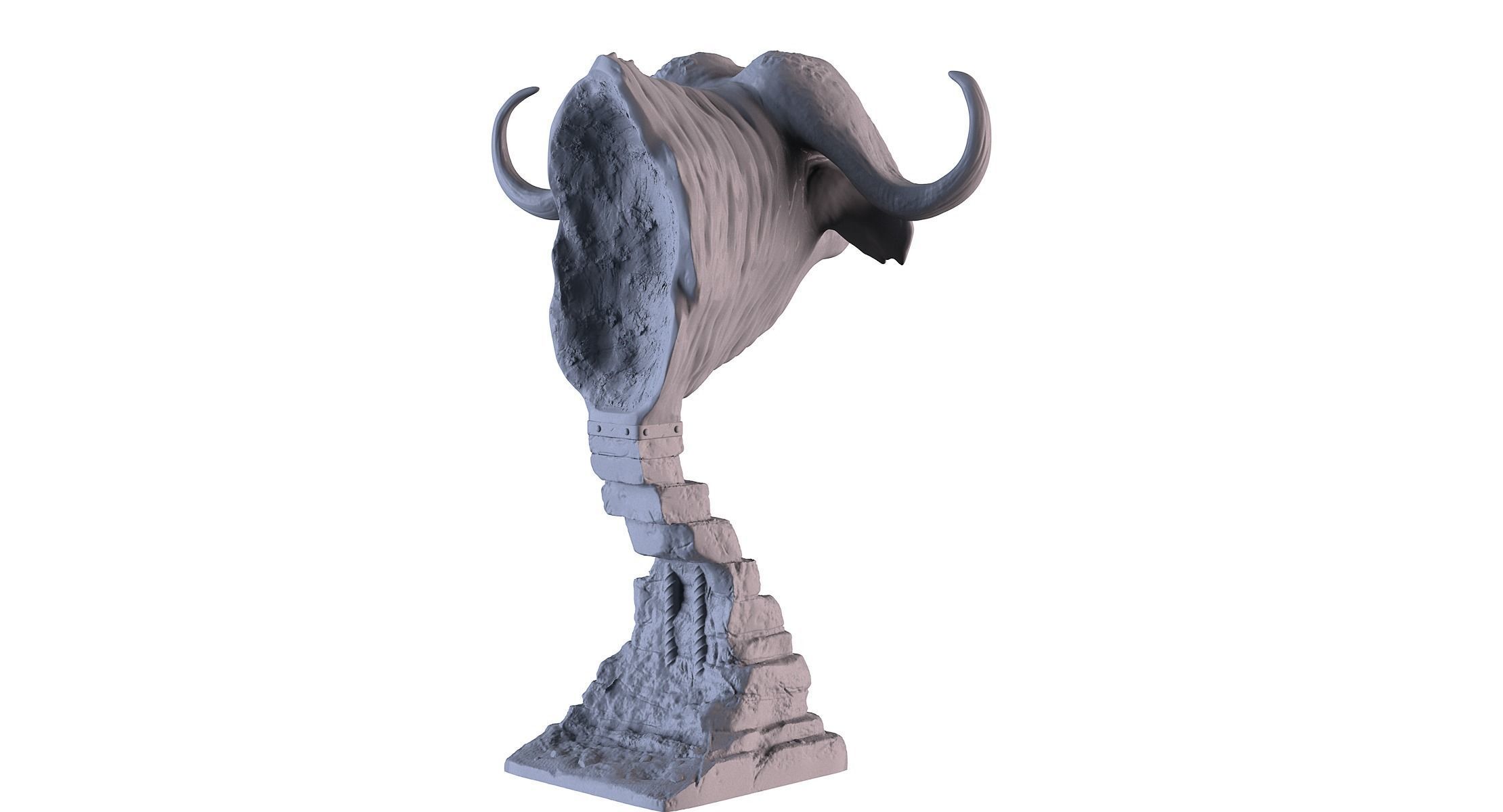 Head African Buffalo  3D print model_6