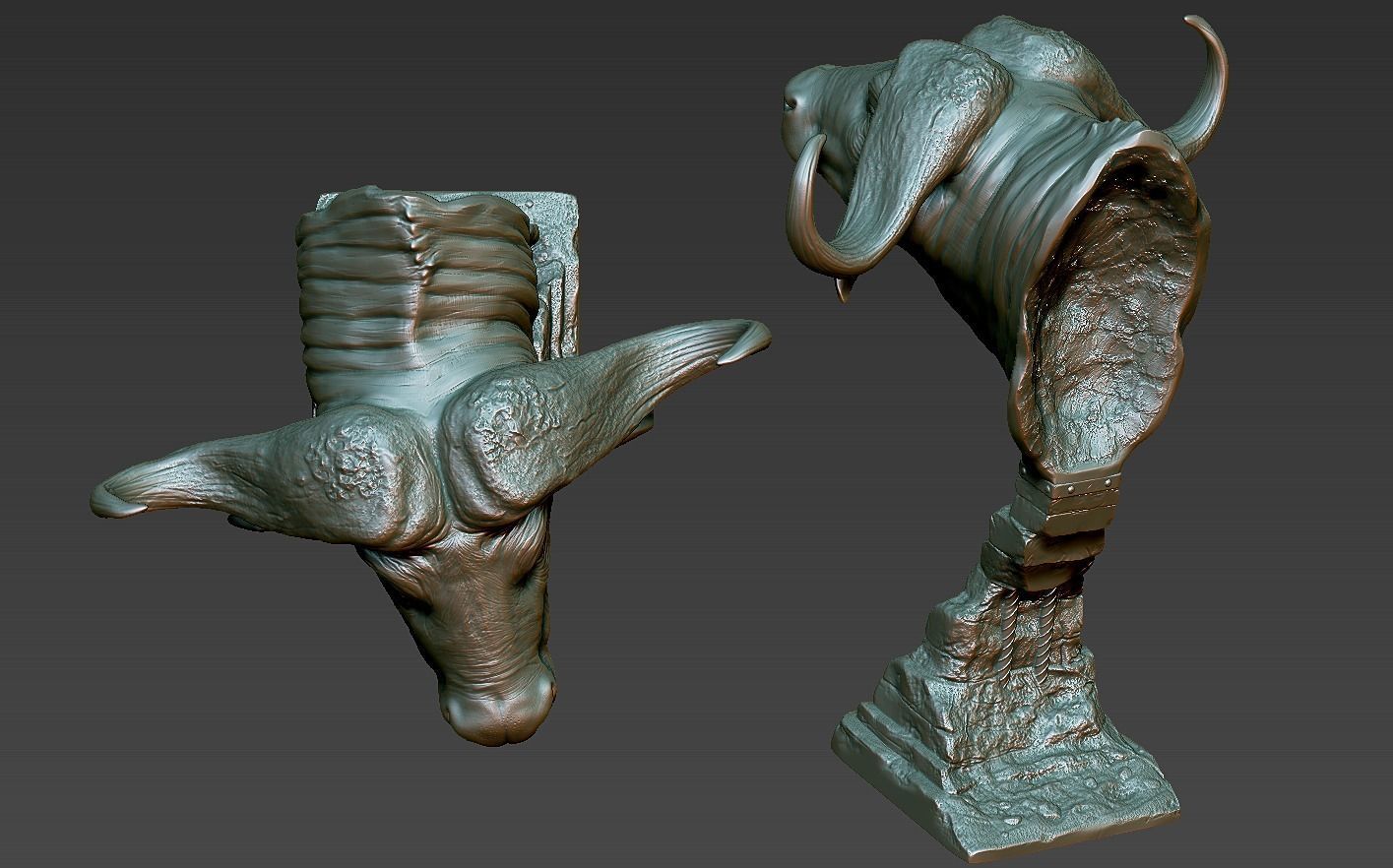 Head African Buffalo  3D print model_12