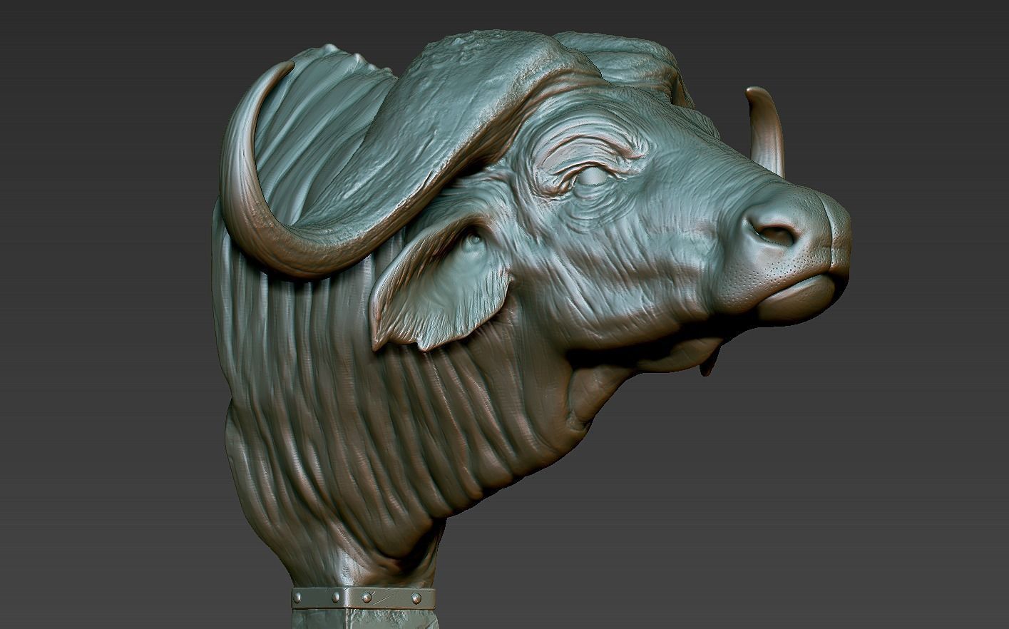 Head African Buffalo  3D print model_14