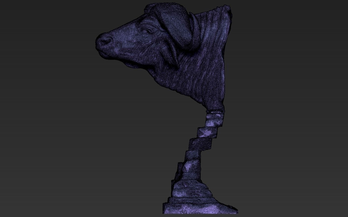 Head African Buffalo  3D print model_21
