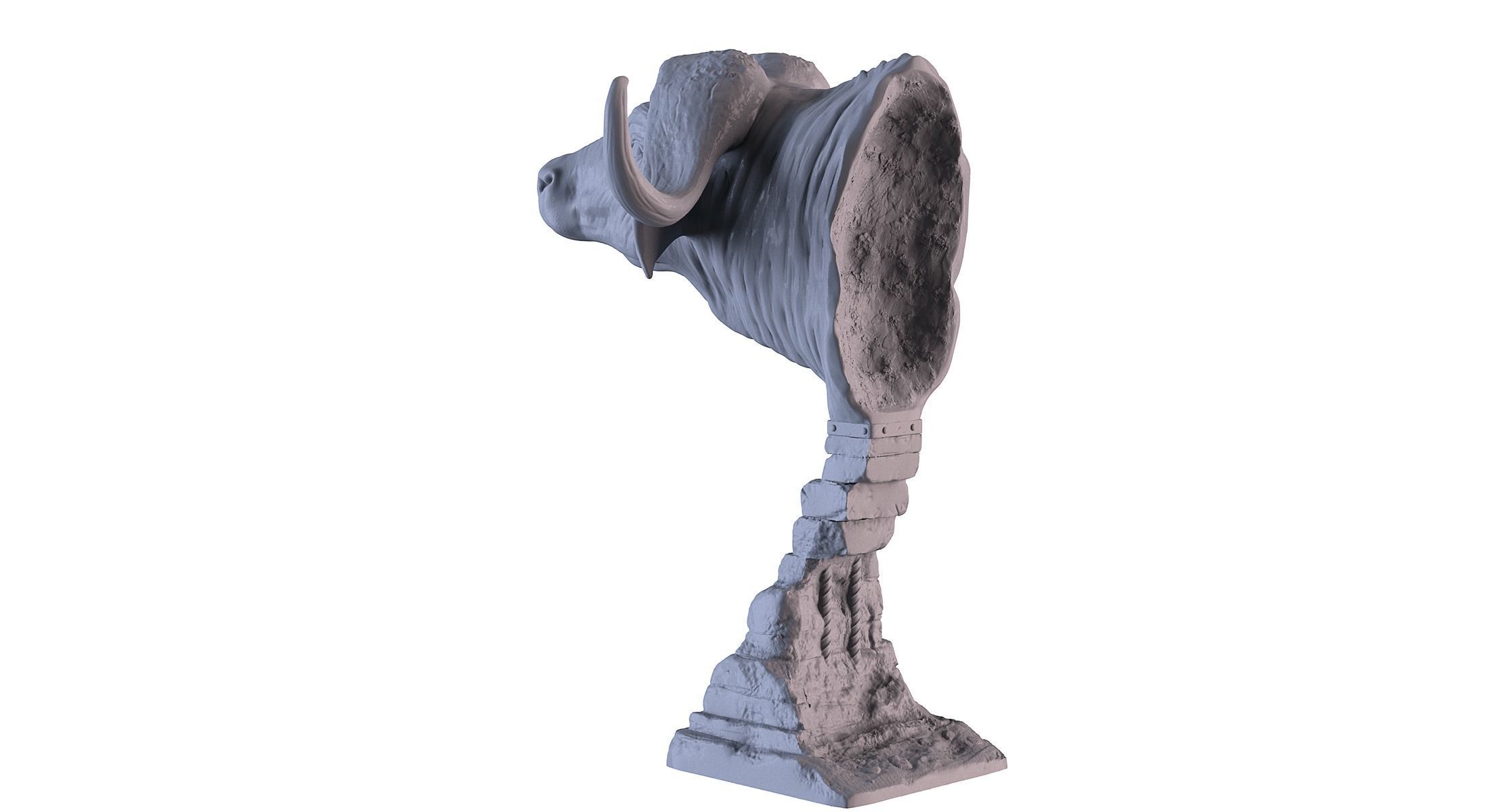 Head African Buffalo  3D print model_4