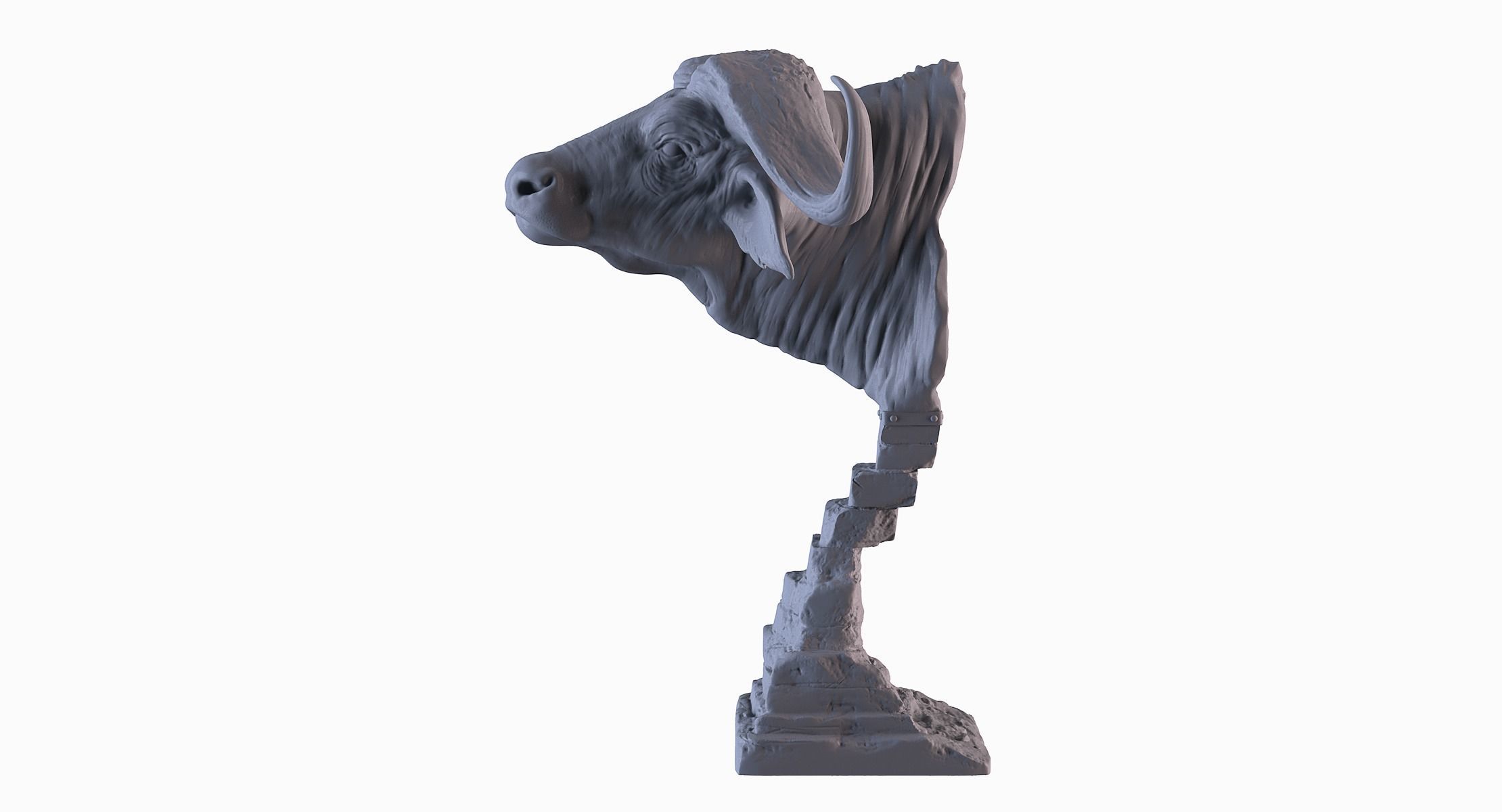 Head African Buffalo  3D print model_3