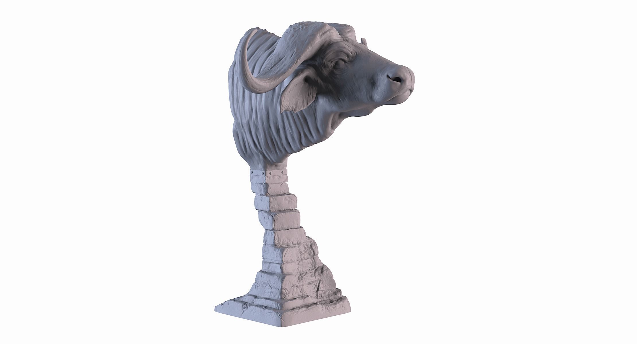 Head African Buffalo  3D print model_8