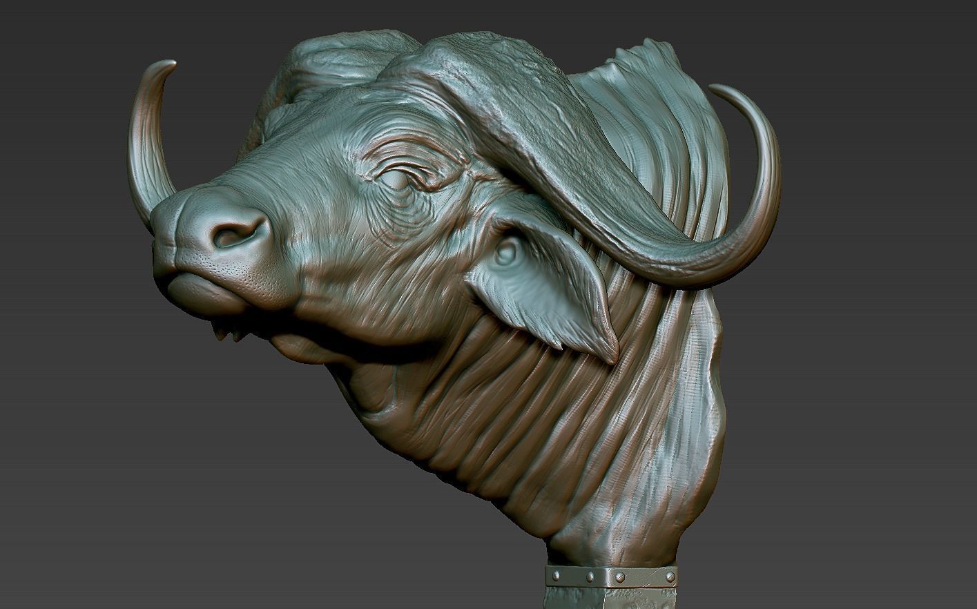 Head African Buffalo  3D print model_15