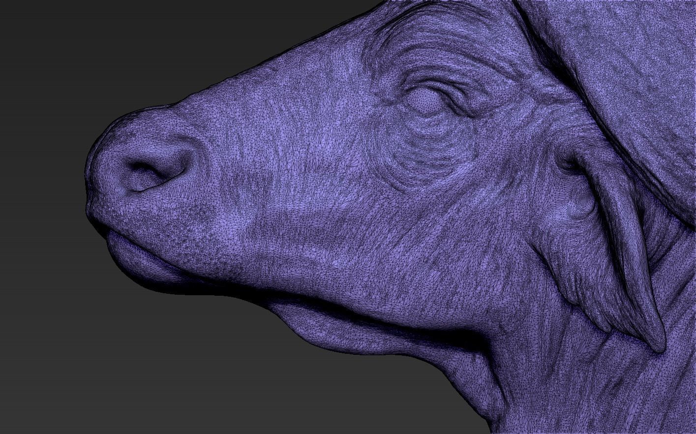 Head African Buffalo  3D print model_20