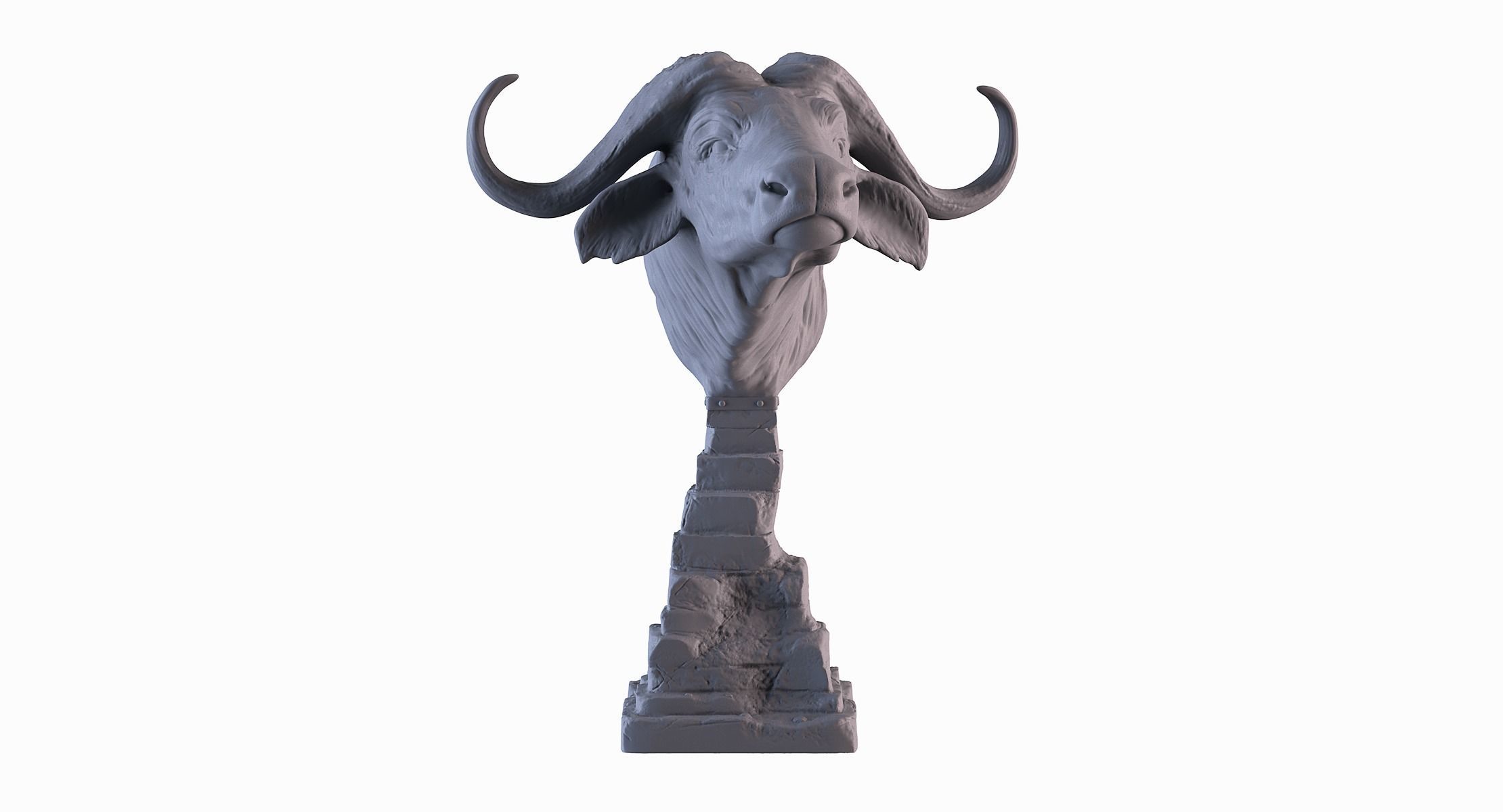 Head African Buffalo  3D print model_1