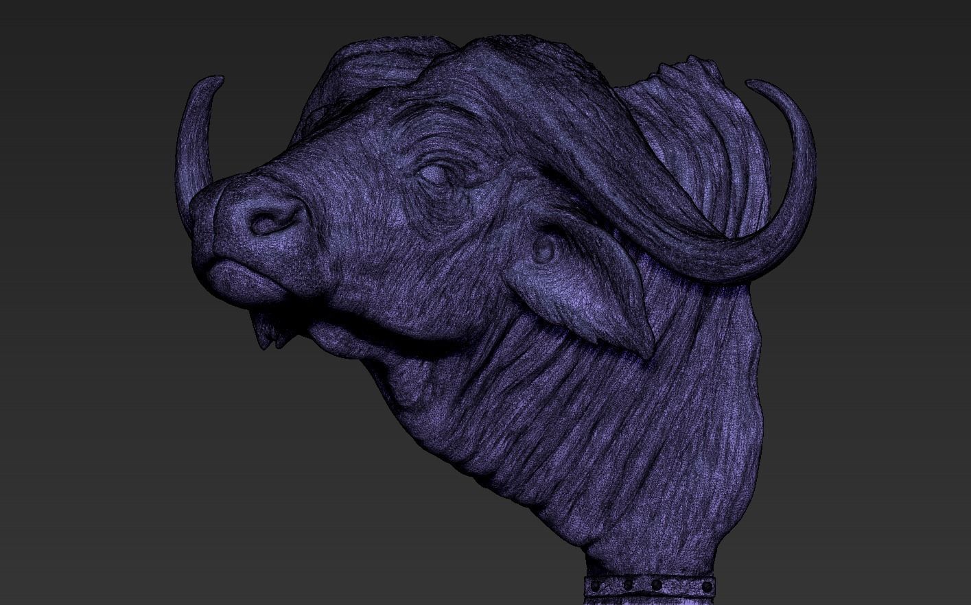 Head African Buffalo  3D print model_18