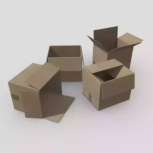Cardboard Box