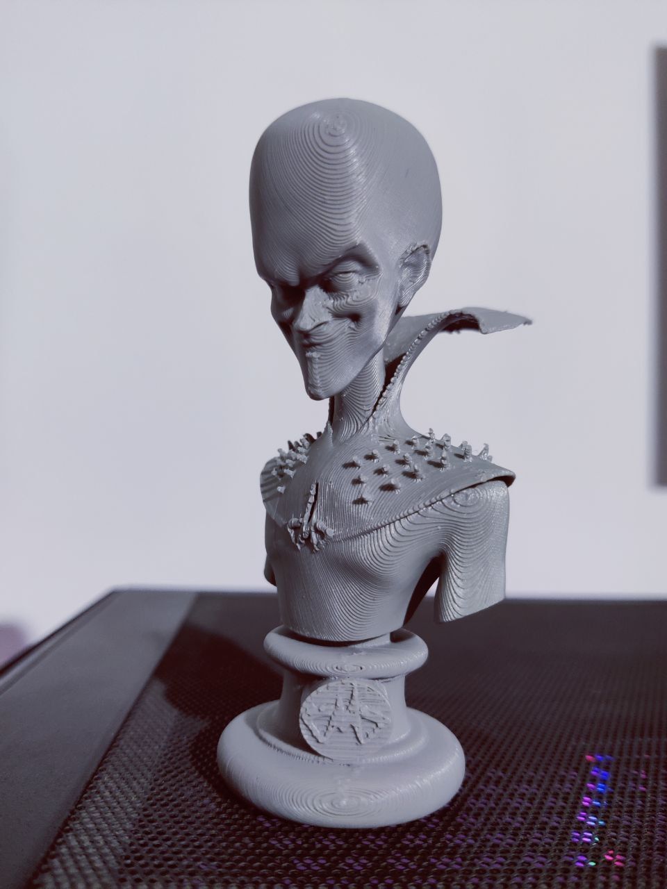 Megamind Bust 3D print model_1