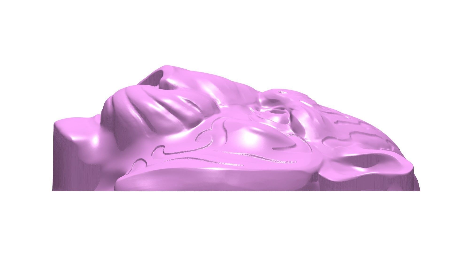 tiger head 3D model_3