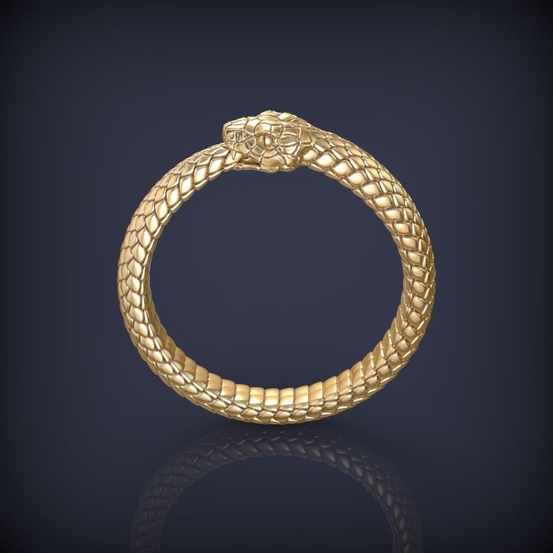 Snake Ouroboros Jewelry Ring 3d print model 3D print model_0