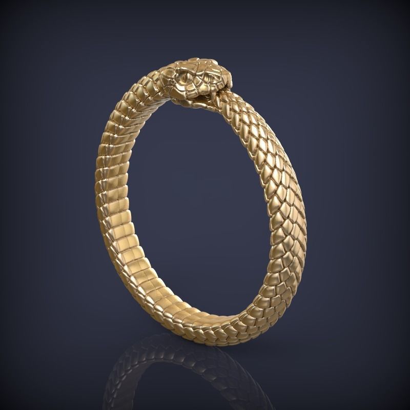 Snake Ouroboros Jewelry Ring 3d print model 3D print model_5