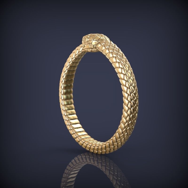 Snake Ouroboros Jewelry Ring 3d print model 3D print model_3