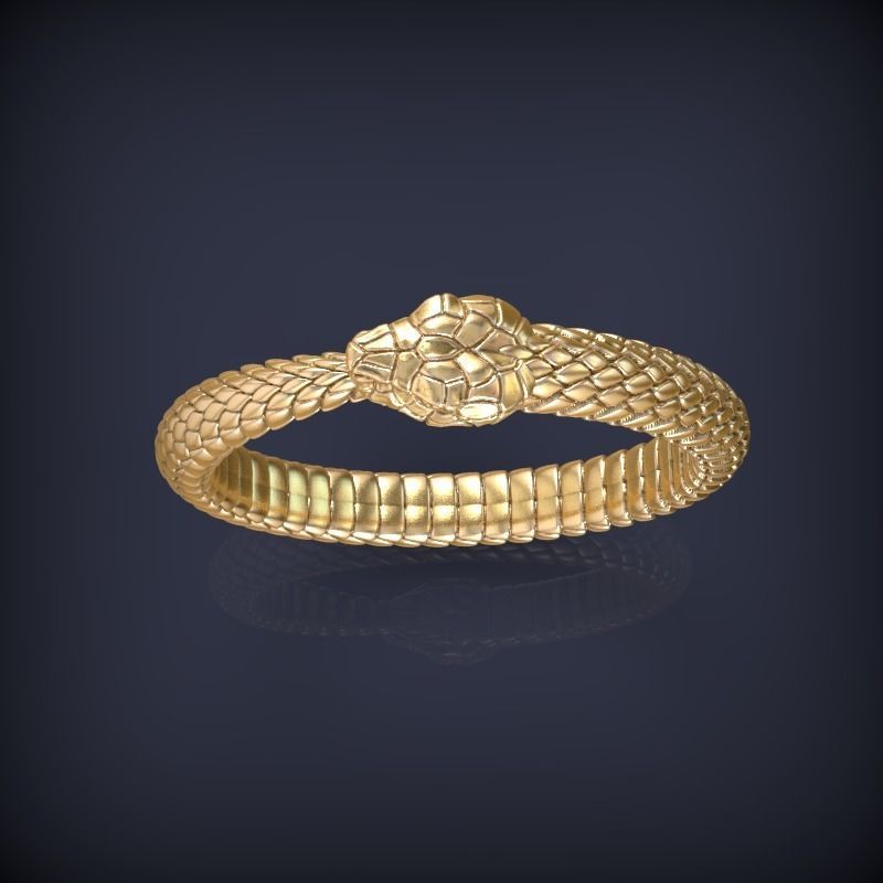 Snake Ouroboros Jewelry Ring 3d print model 3D print model_4