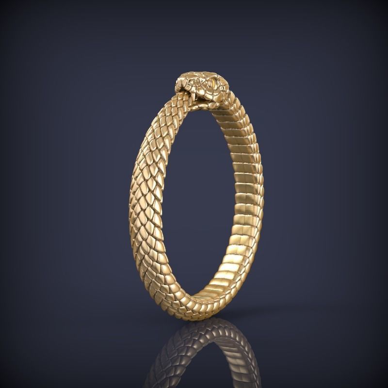 Snake Ouroboros Jewelry Ring 3d print model 3D print model_2