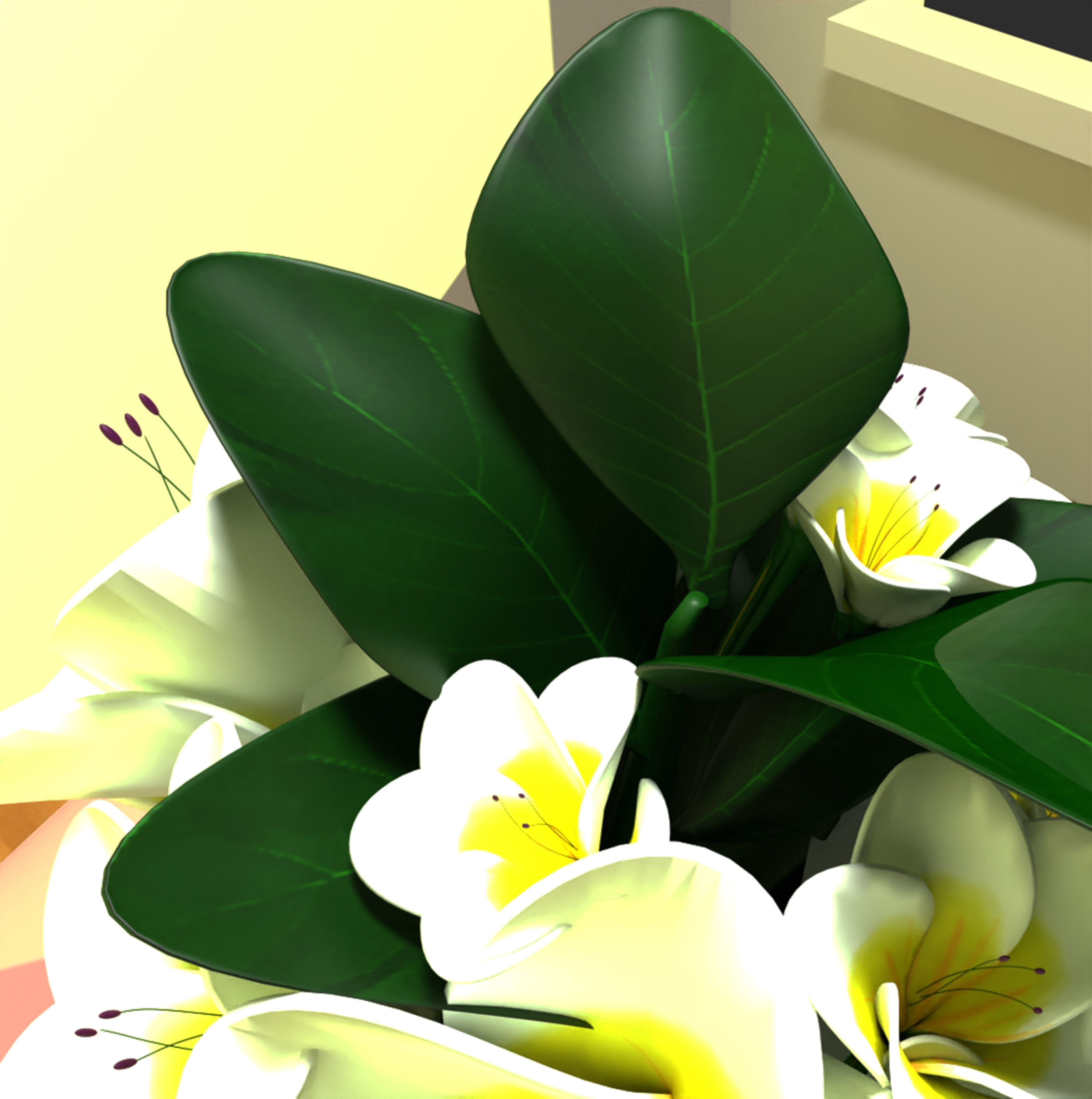 White Flowers 3D model_10