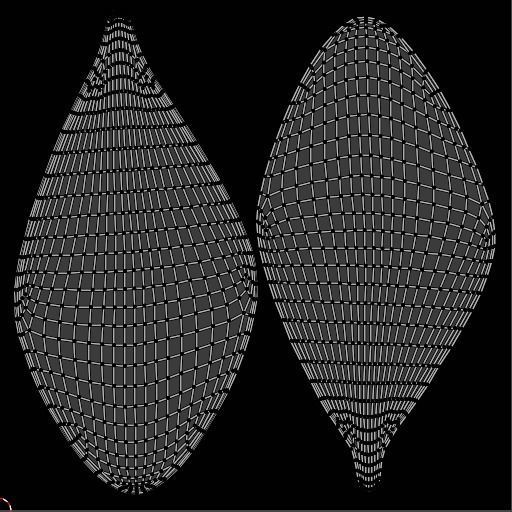 White Flowers 3D model_14