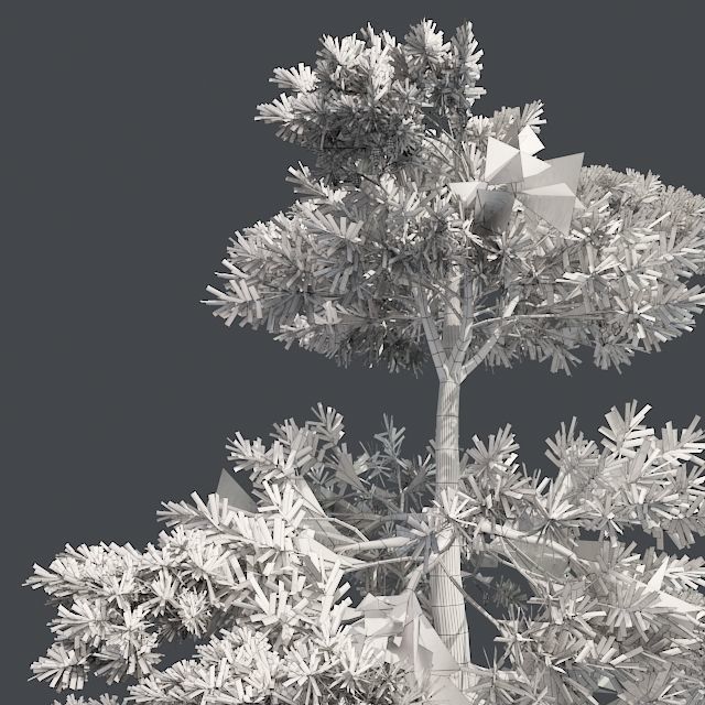 Huangshan Pine Tree 2 Low-poly 3D model_4