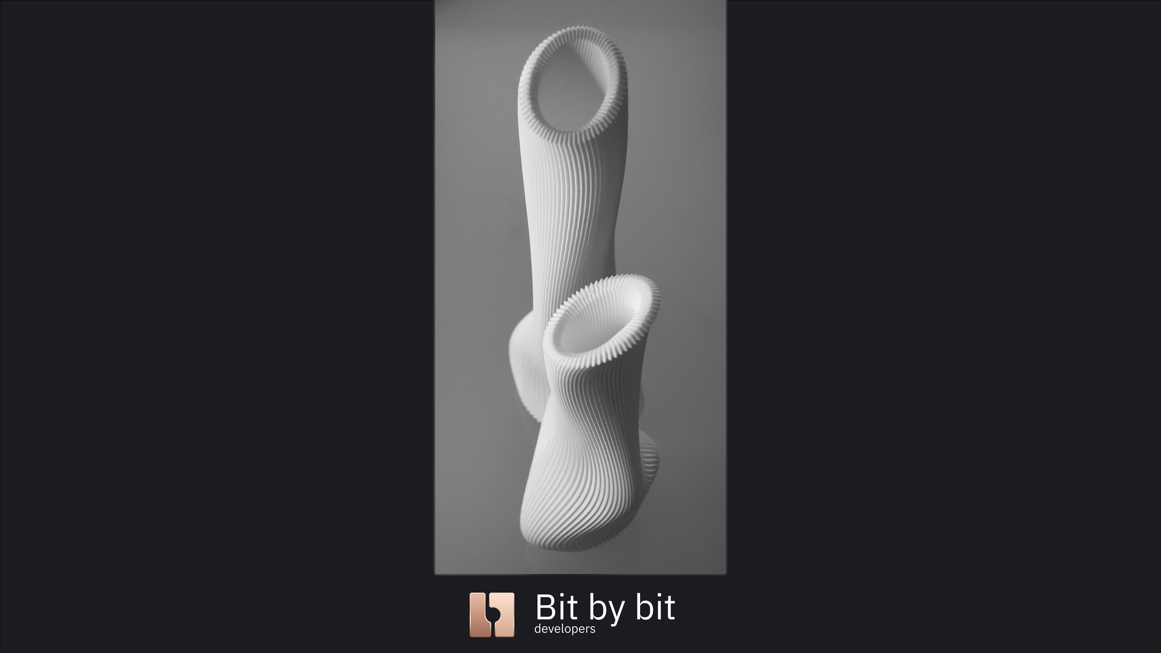 Vases In Love 3D print model_5