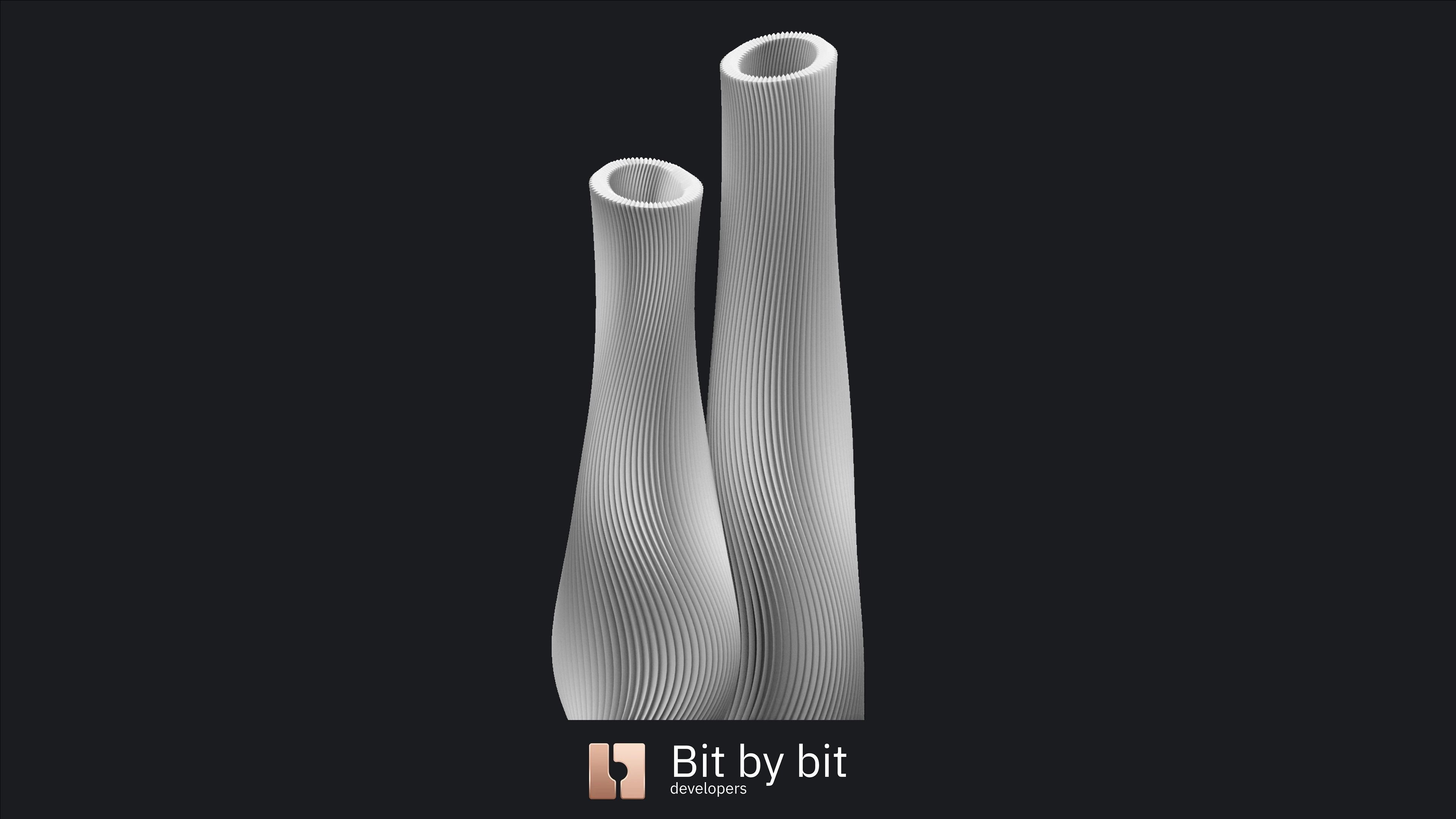 Vases In Love 3D print model_14