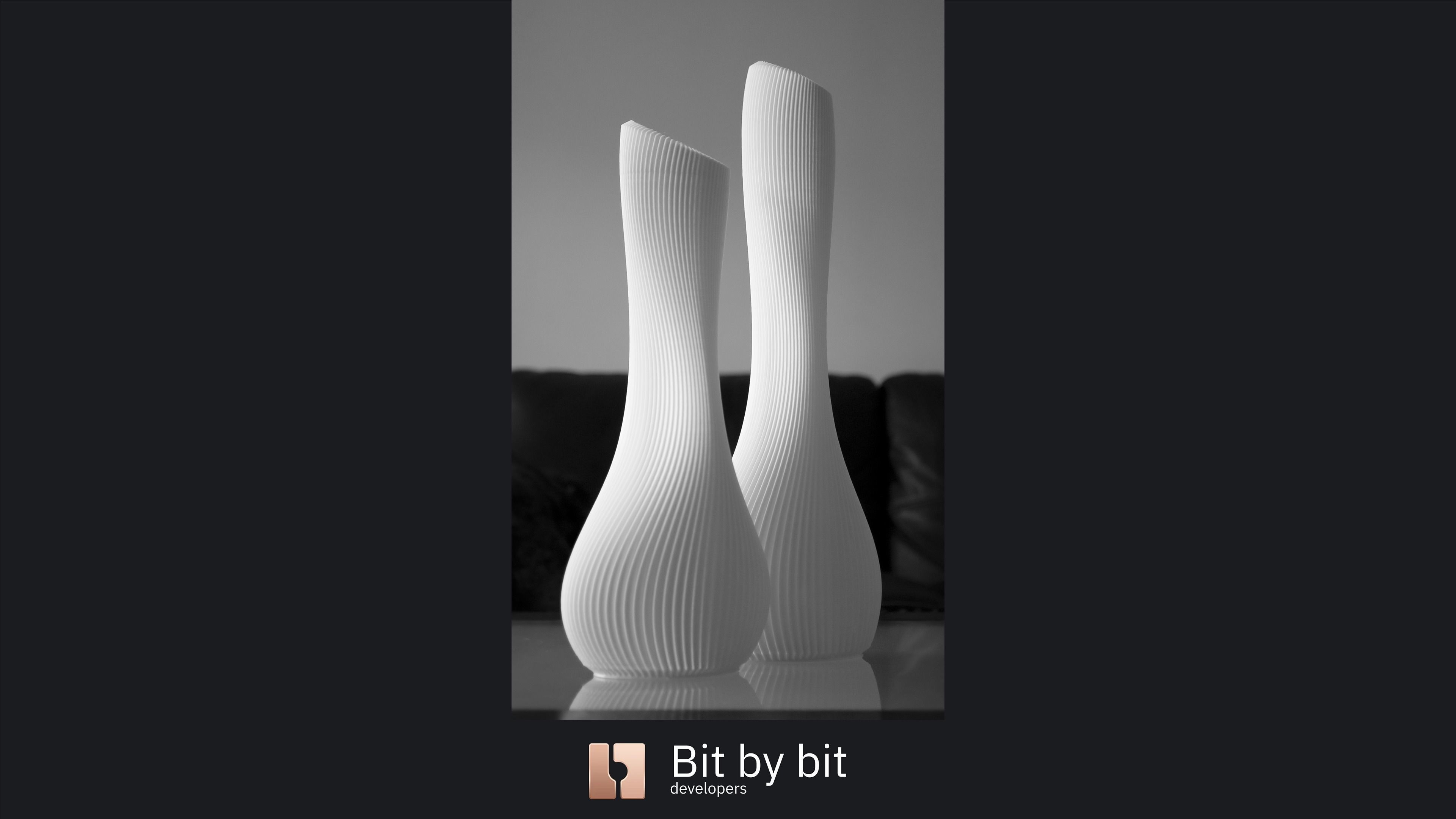 Vases In Love 3D print model_3