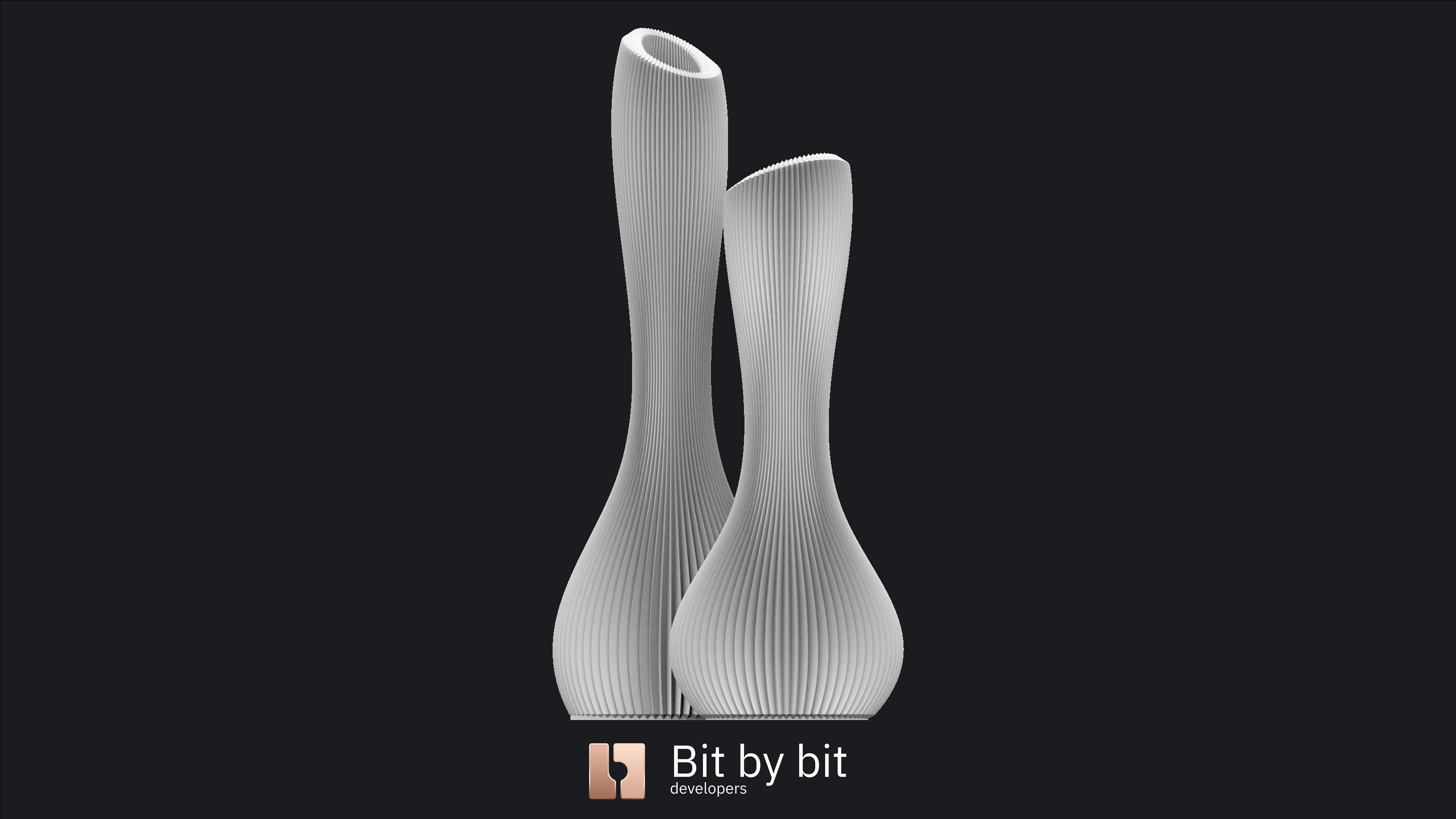 Vases In Love 3D print model_12