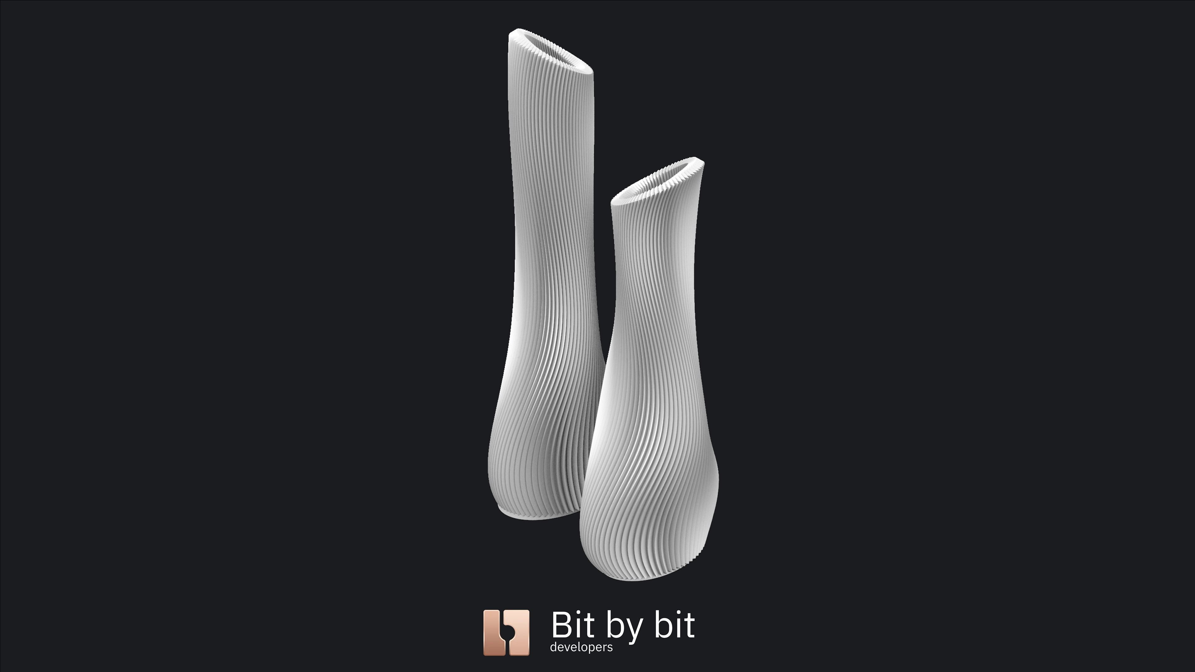 Vases In Love 3D print model_13