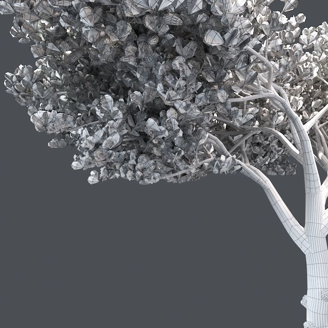 Italian Cypress Tree 2 Low-poly 3D model_4