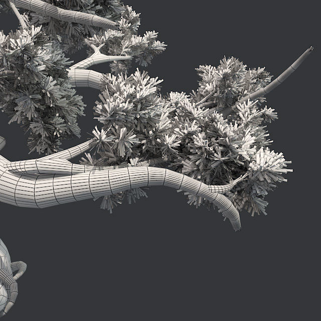 Jeffery Pine Tree Low-poly 3D model_4