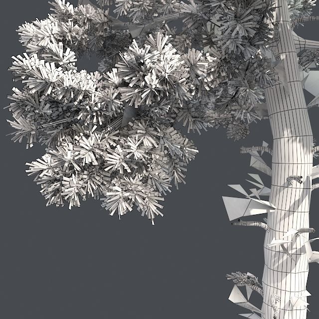 Lablolly Pine Tree Low-poly 3D model_4