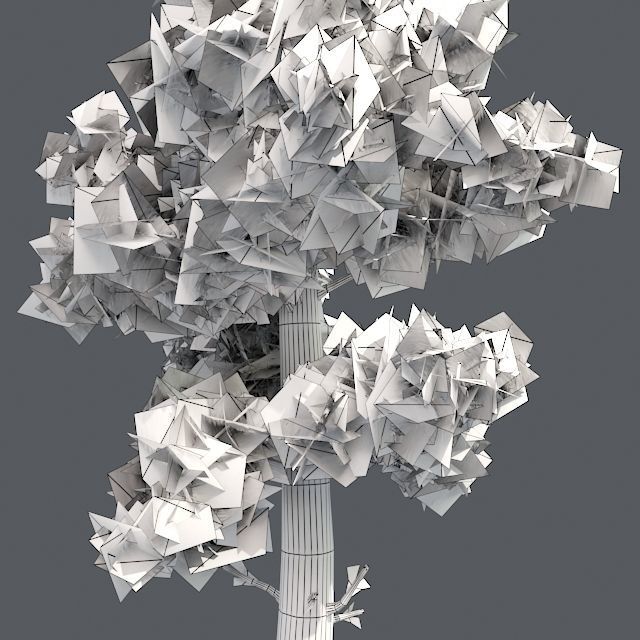 Conifer Tree Low-poly 3D model_4