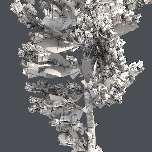 Scots Pine Tree Low-poly 3D model_4