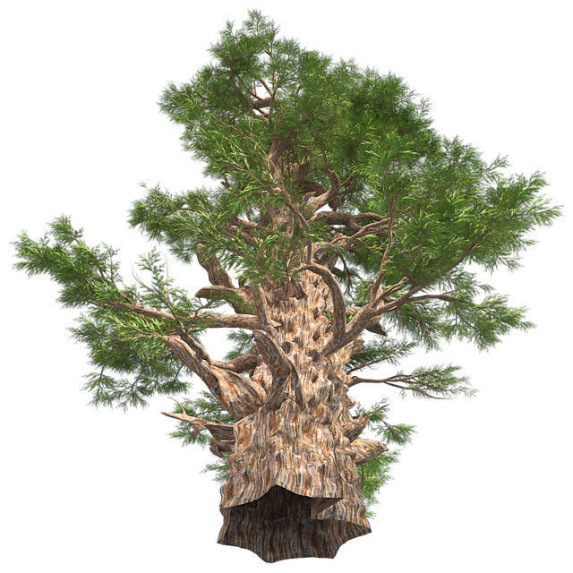 Western Juniper Tree Low-poly 3D model_1