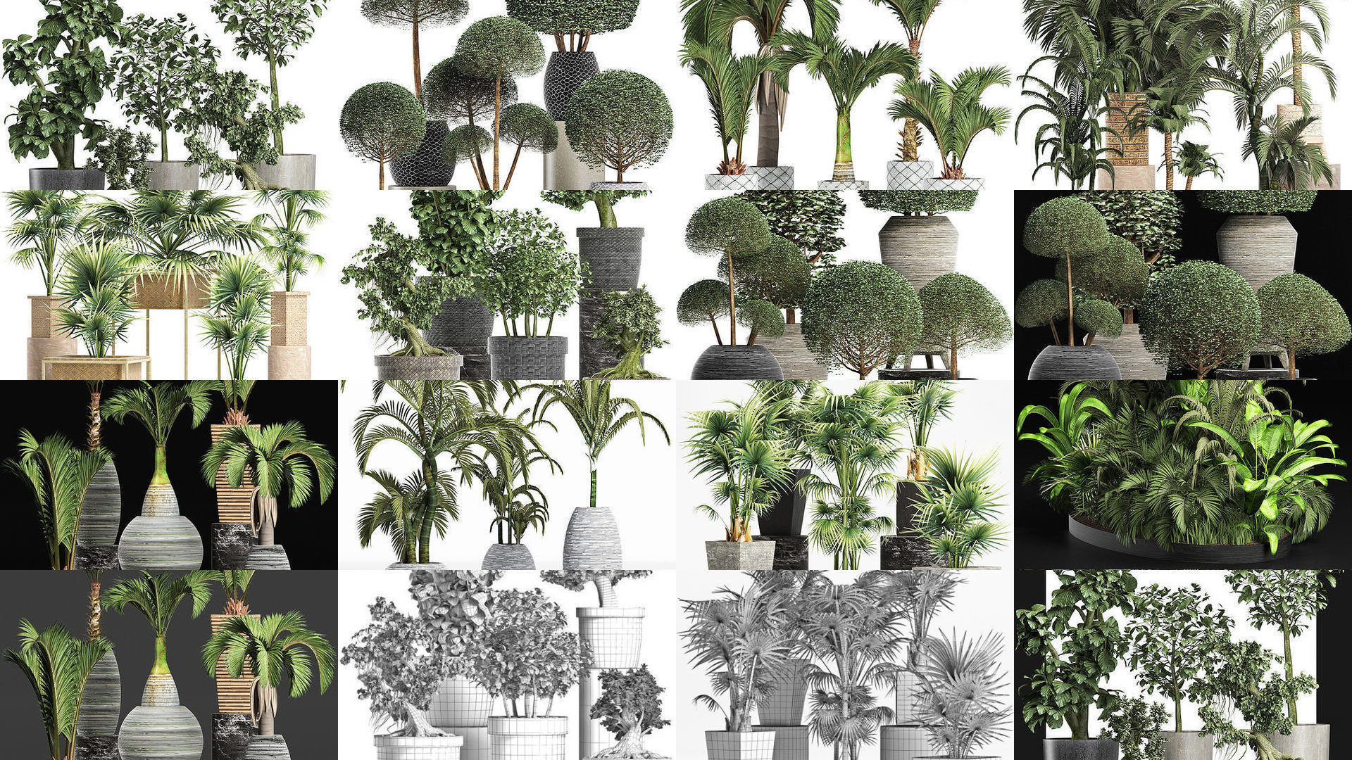 Big Plants Collection 06 _20