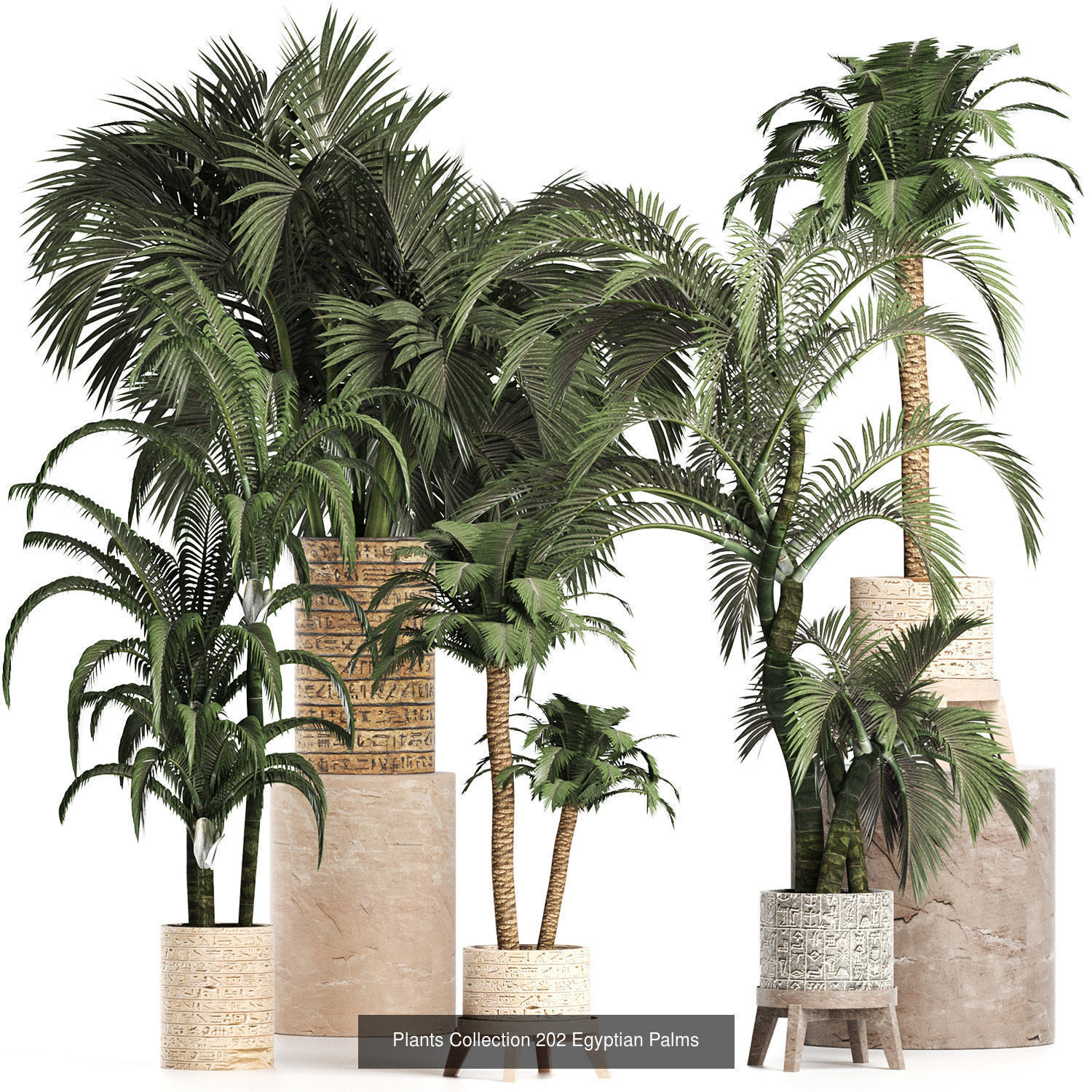 Big Plants Collection 06 _88