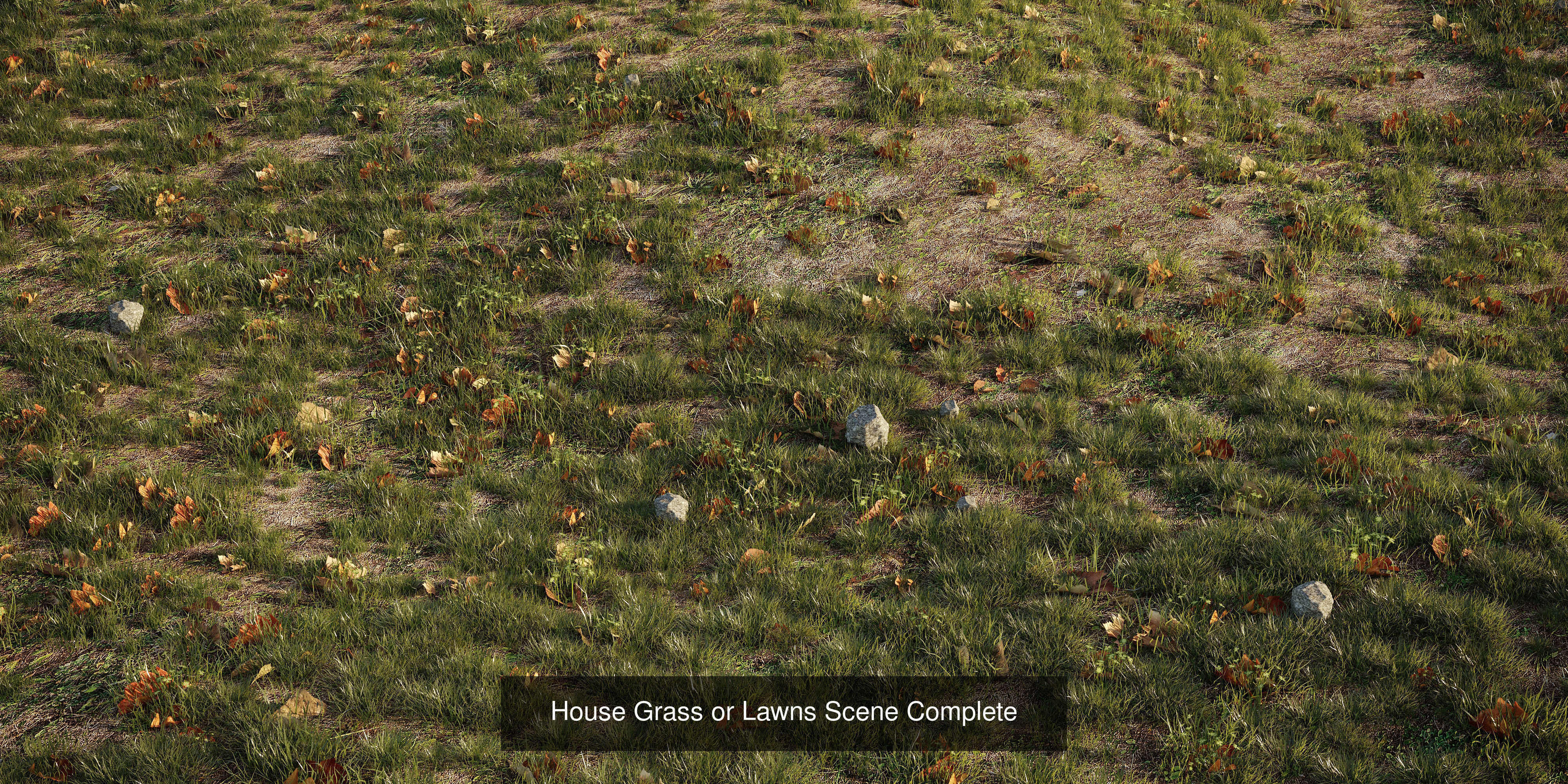 Big Plants Collection 06 _22