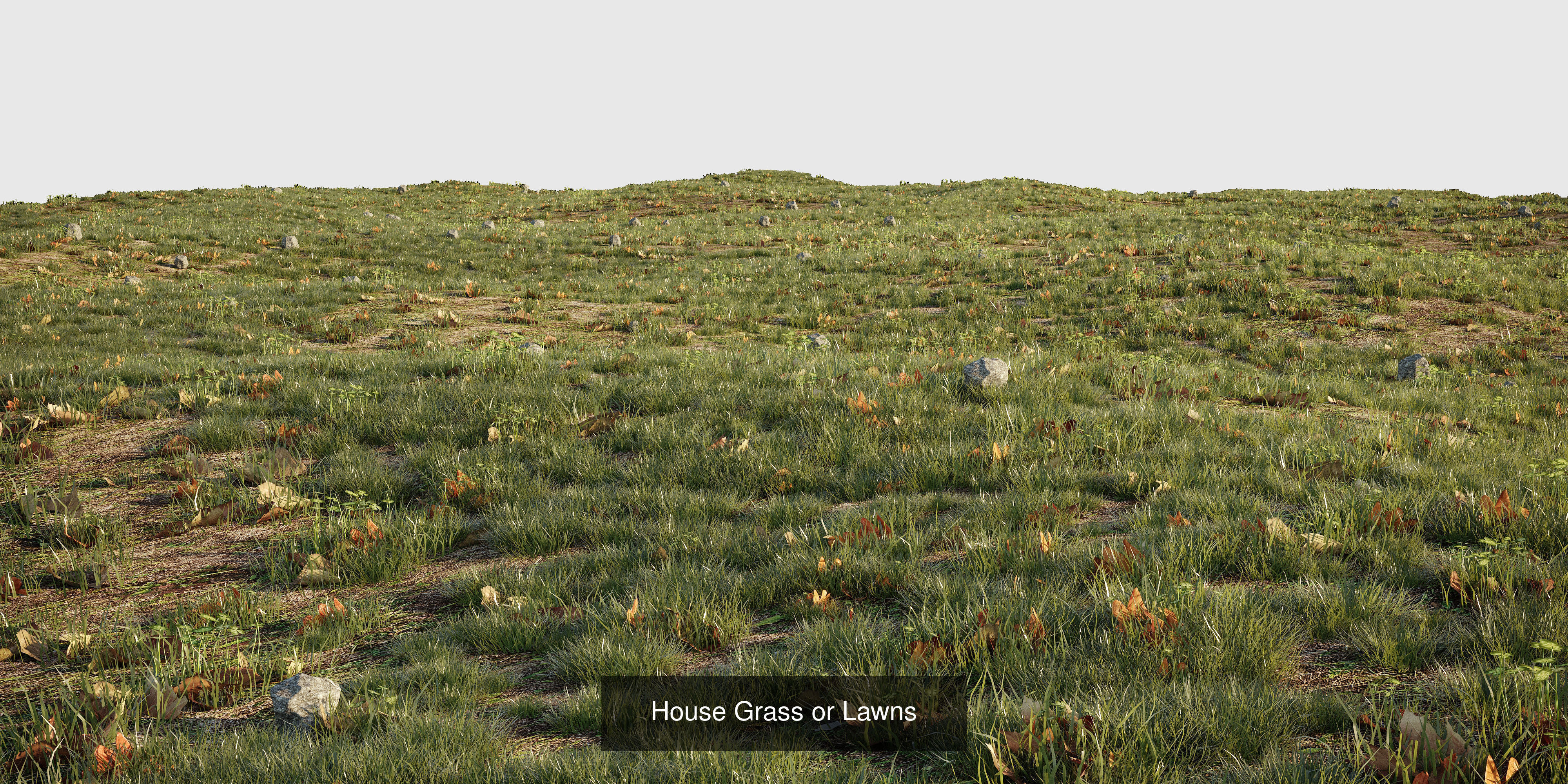 Big Plants Collection 06 _23