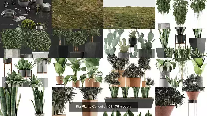 Big Plants Collection 06 