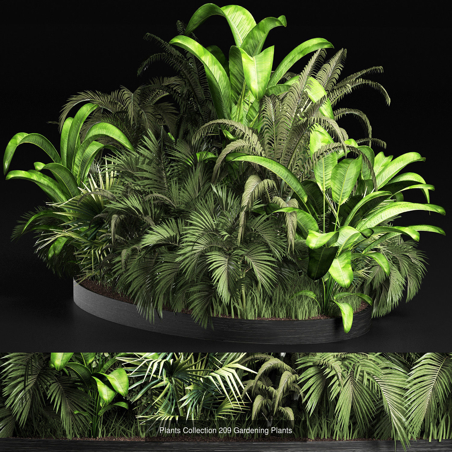 Big Plants Collection 06 _96