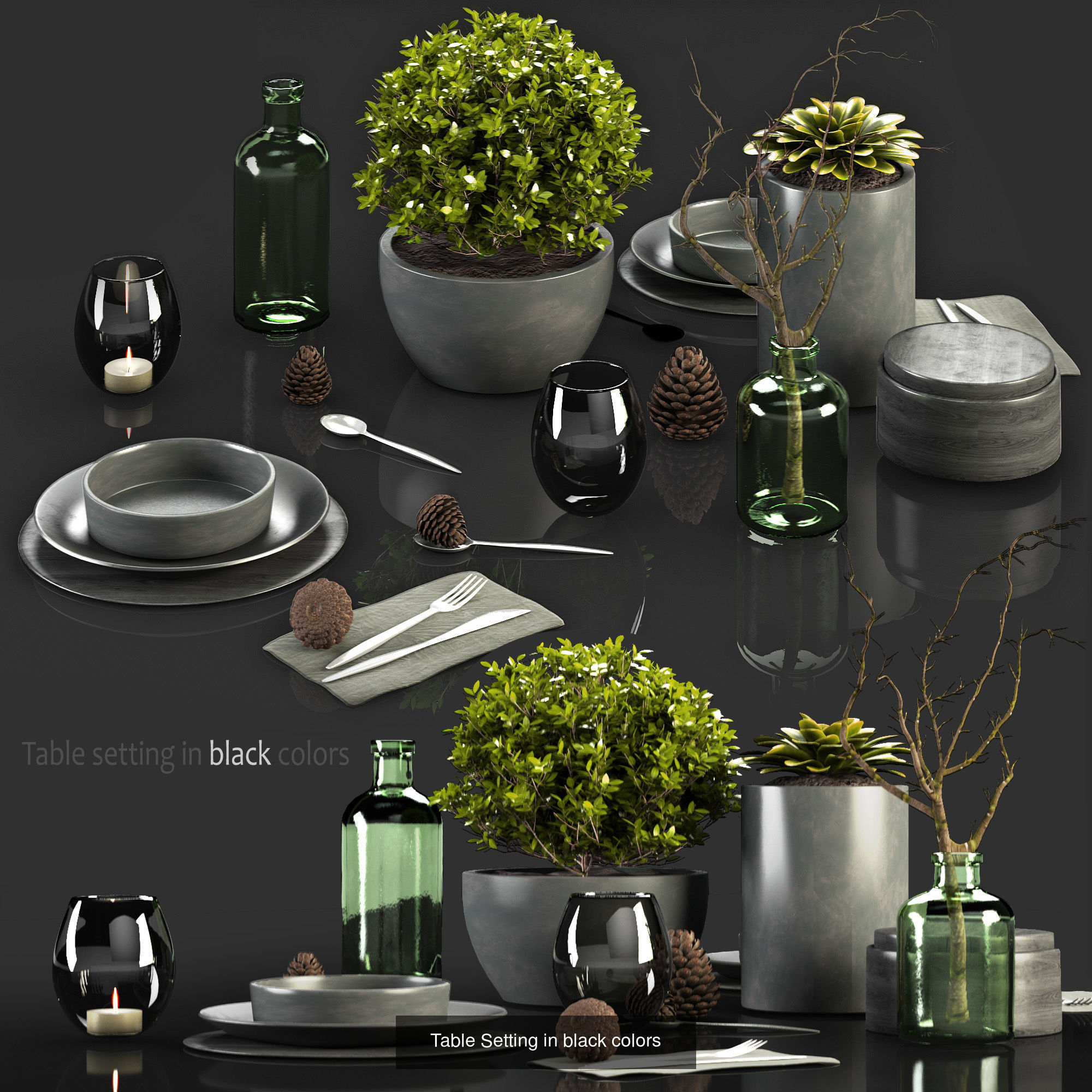 Big Plants Collection 06 _21