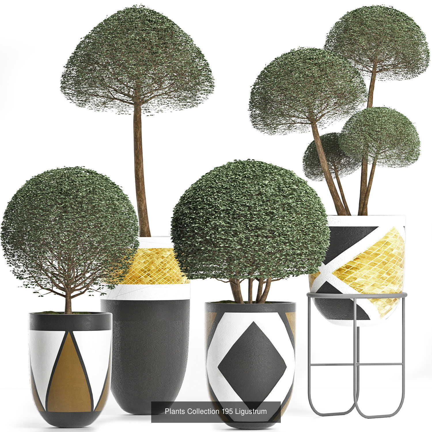 Big Plants Collection 06 _81