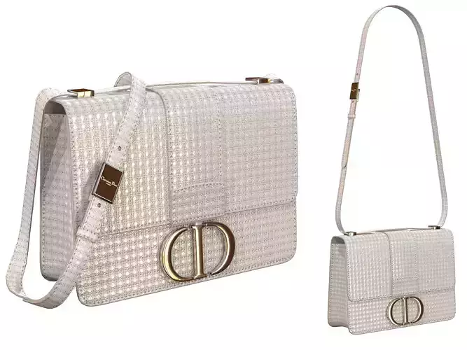 Dior 30 Montaigne Bag Metallic Steel Gray