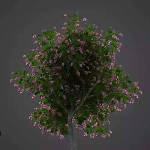 2021 PBR Giant Crape Myrtle Collection  3D model