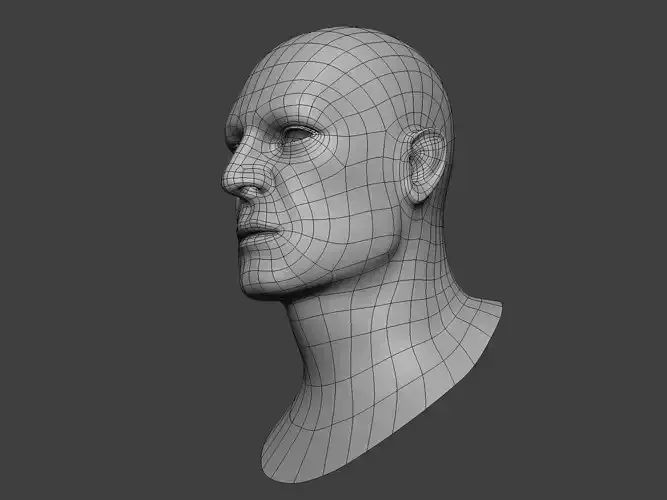 Human Male Head Base Mesh