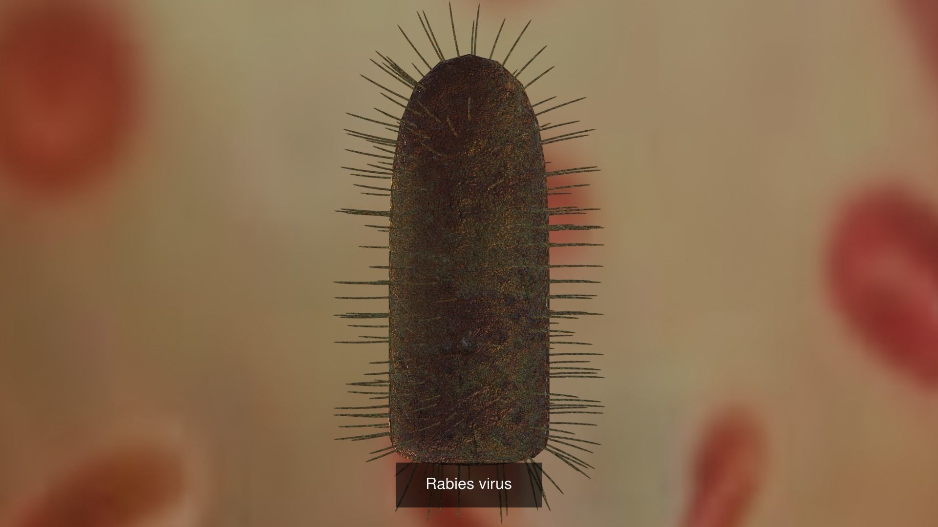 6 Virus 3d models package 3D Model Collection_6