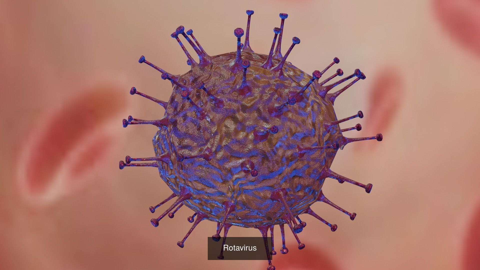 6 Virus 3d models package 3D Model Collection_3