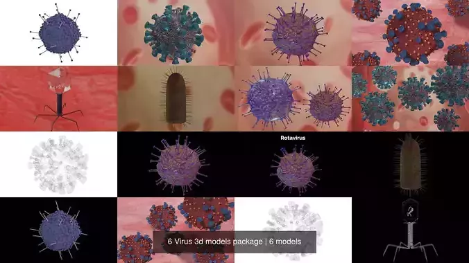 6 Virus 3d models package 3D Model Collection