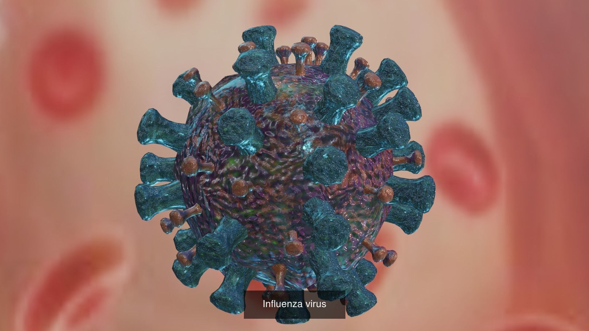6 Virus 3d models package 3D Model Collection_2