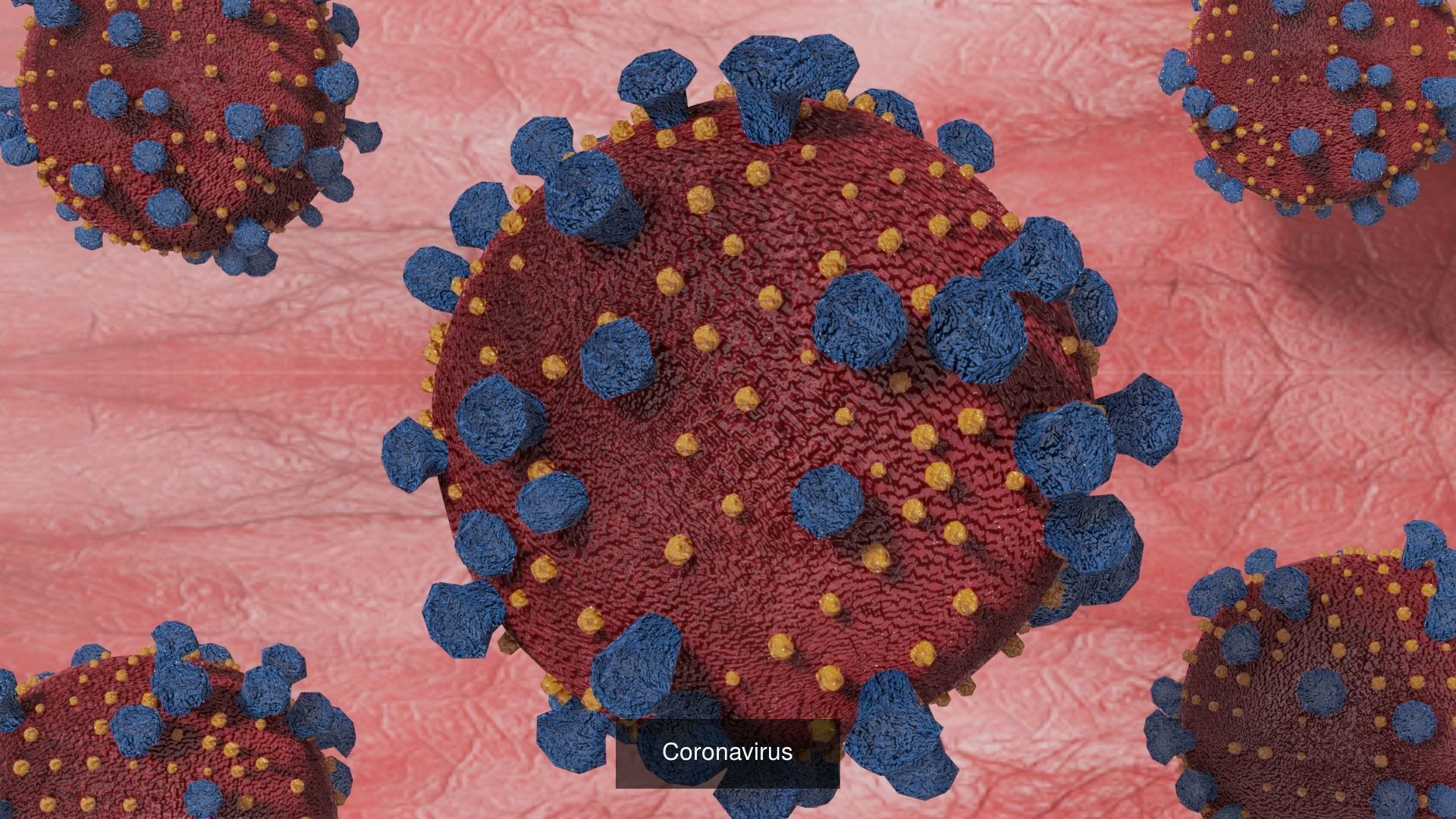 6 Virus 3d models package 3D Model Collection_4