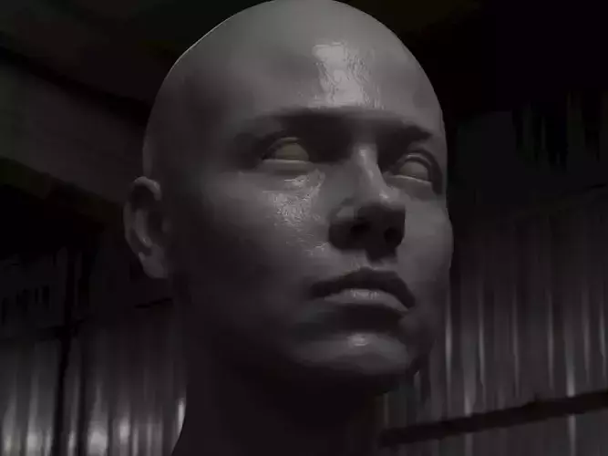 Young female face scupting high detail zbrush obj low poly